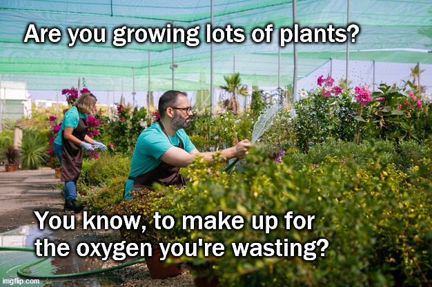 are you wasing oxygen? | Are you growing lots of plants? You know, to make up for 
the oxygen you're wasting? | image tagged in fun | made w/ Imgflip meme maker