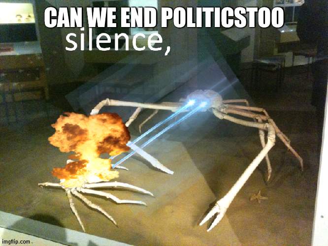 Because that stream is pointless | CAN WE END POLITICSTOO | image tagged in silence,politics | made w/ Imgflip meme maker