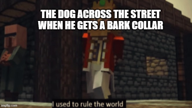 I used to rule the world | THE DOG ACROSS THE STREET WHEN HE GETS A BARK COLLAR | image tagged in i used to rule the world | made w/ Imgflip meme maker