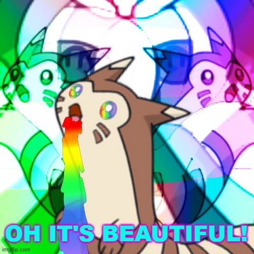 Furret on Acid | OH IT'S BEAUTIFUL! | image tagged in furret on acid | made w/ Imgflip meme maker