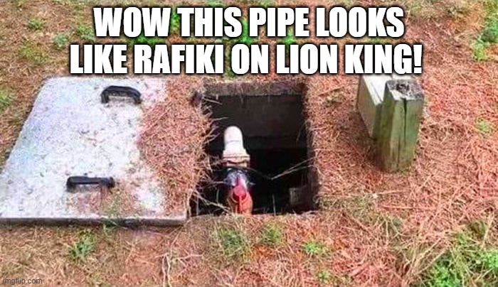 WOW THIS PIPE LOOKS LIKE RAFIKI ON LION KING! | made w/ Imgflip meme maker