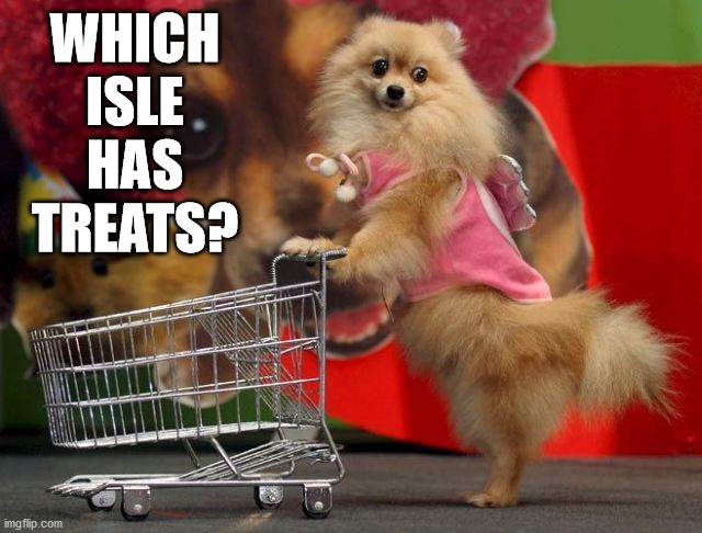 WHICH ISLE HAS TREATS? | image tagged in dogs | made w/ Imgflip meme maker