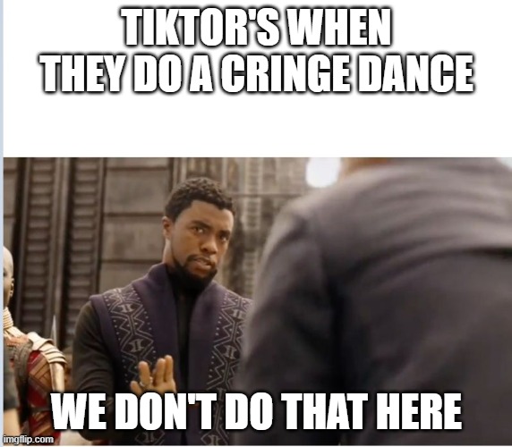 tiktoker | TIKTOR'S WHEN THEY DO A CRINGE DANCE; WE DON'T DO THAT HERE | image tagged in we don't do that here | made w/ Imgflip meme maker
