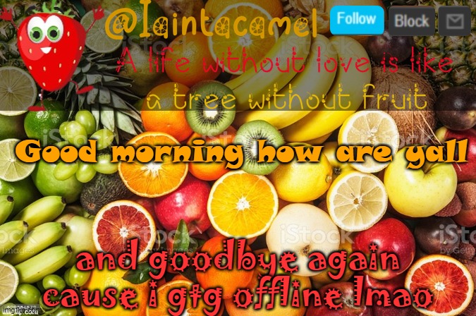 iaintacamel | Good morning how are yall; and goodbye again cause i gtg offline lmao | image tagged in iaintacamel | made w/ Imgflip meme maker