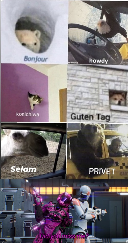 image tagged in bonjour howdy konichiwa guten tag selam privet,did you miss me | made w/ Imgflip meme maker