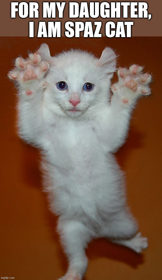 FOR MY DAUGHTER, I AM SPAZ CAT | image tagged in cats | made w/ Imgflip meme maker