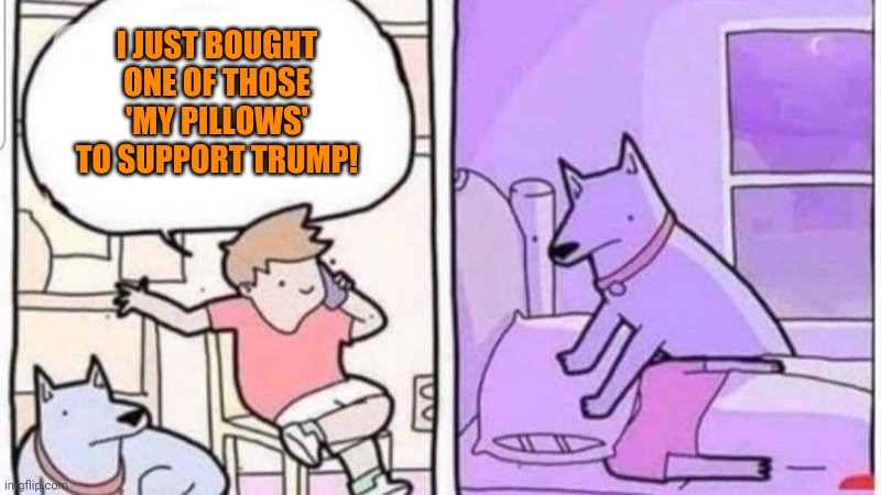 Dog smothering owner | I JUST BOUGHT ONE OF THOSE 'MY PILLOWS' TO SUPPORT TRUMP! | image tagged in dog smothering owner,you get what you fucking deserve | made w/ Imgflip meme maker