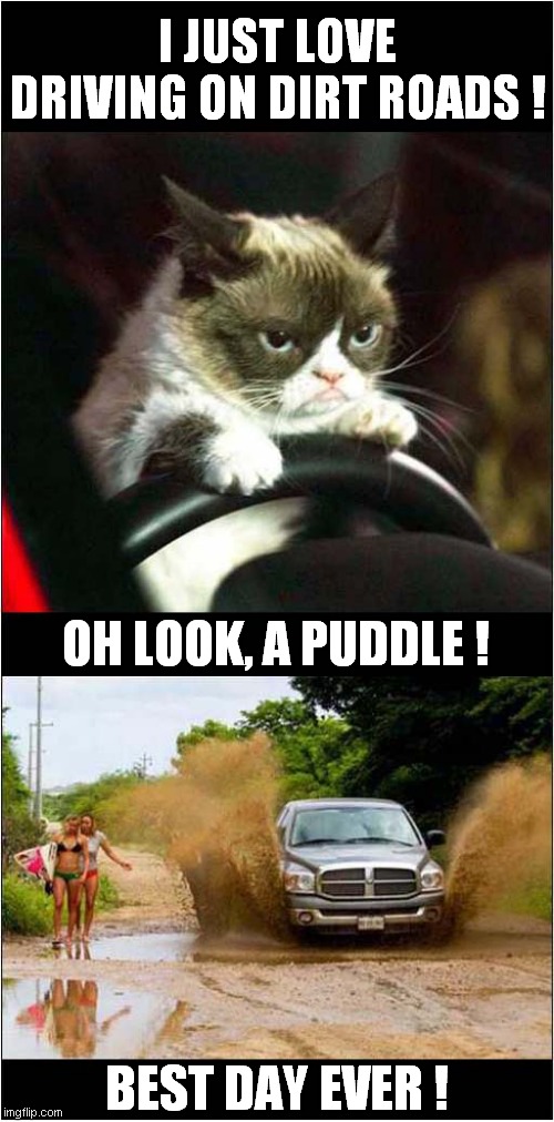 Grumpys SUV Adventure ! | I JUST LOVE DRIVING ON DIRT ROADS ! OH LOOK, A PUDDLE ! BEST DAY EVER ! | image tagged in grumpy cat,suv,splash,cats | made w/ Imgflip meme maker