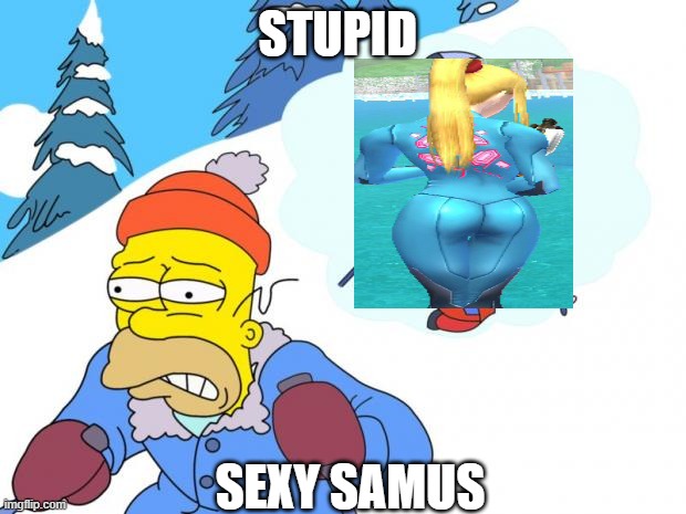 Stupid sexy Flanders | STUPID; SEXY SAMUS | image tagged in stupid sexy flanders | made w/ Imgflip meme maker