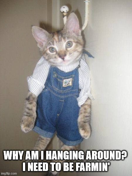 WHY AM I HANGING AROUND? 
I NEED TO BE FARMIN' | image tagged in cats | made w/ Imgflip meme maker