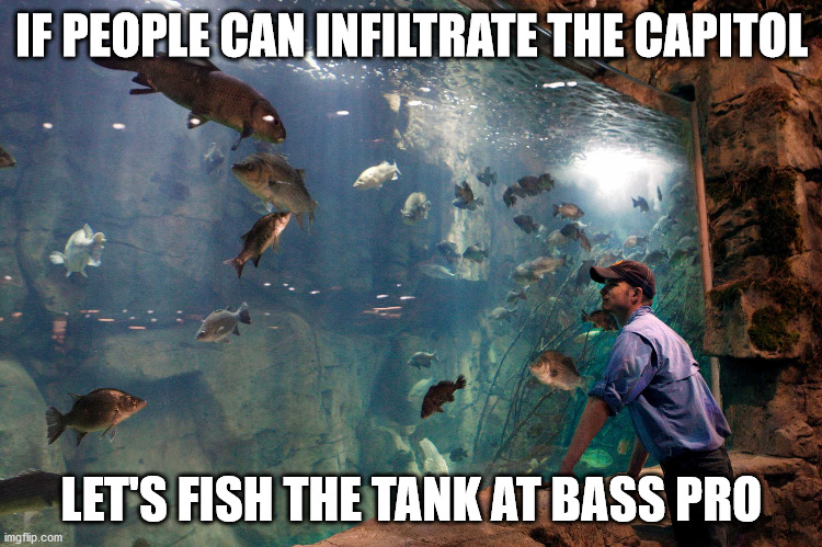 Fish the tank | IF PEOPLE CAN INFILTRATE THE CAPITOL; LET'S FISH THE TANK AT BASS PRO | image tagged in bass pro,capitol | made w/ Imgflip meme maker
