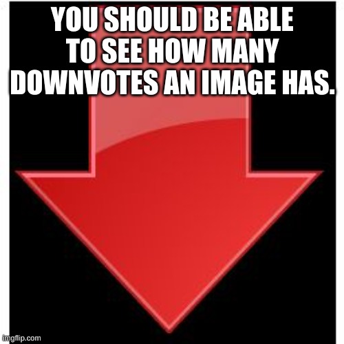 downvotes | YOU SHOULD BE ABLE TO SEE HOW MANY DOWNVOTES AN IMAGE HAS. | image tagged in downvotes | made w/ Imgflip meme maker