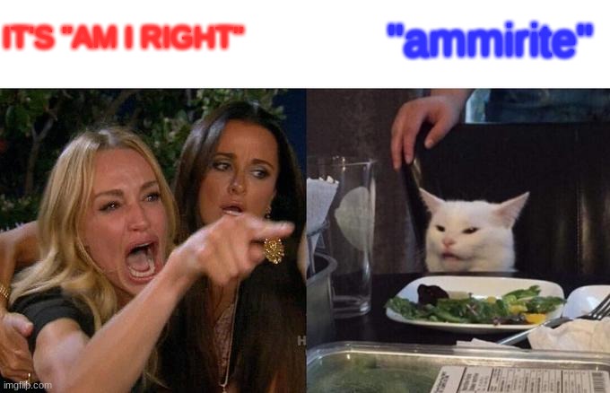 Woman Yelling At Cat | IT'S "AM I RIGHT"; "ammirite" | image tagged in memes,woman yelling at cat | made w/ Imgflip meme maker
