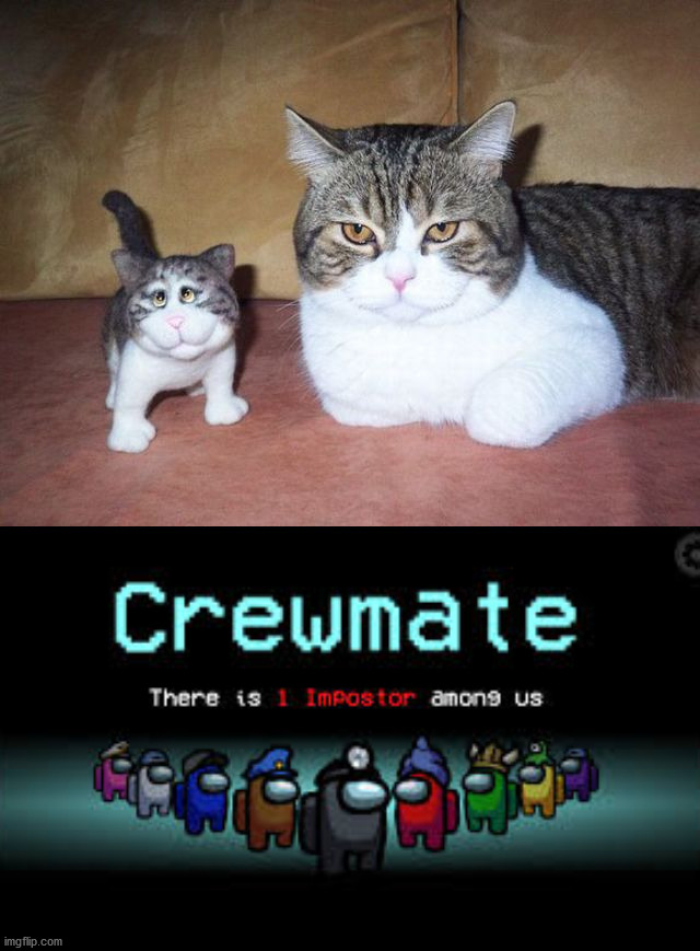 I think there is 1 impostor. | image tagged in there is 1 imposter among us,cats,impostor | made w/ Imgflip meme maker