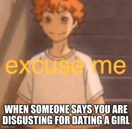 Nope not in my house! | WHEN SOMEONE SAYS YOU ARE DISGUSTING FOR DATING A GIRL | image tagged in excuse me | made w/ Imgflip meme maker