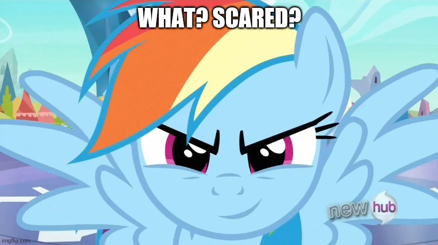 Looks like a job for Rainbow Dash (MLP) | WHAT? SCARED? | image tagged in looks like a job for rainbow dash mlp | made w/ Imgflip meme maker