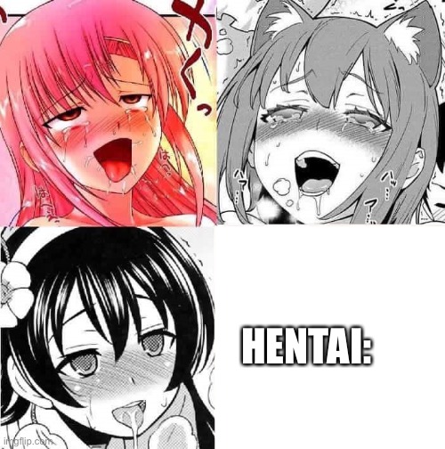 Hentai Faces | HENTAI: | image tagged in hentai faces | made w/ Imgflip meme maker