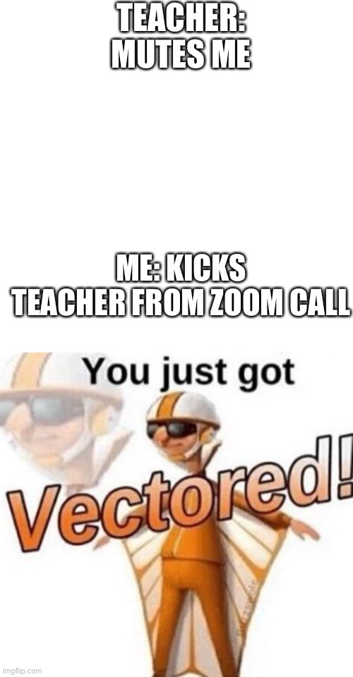 Teacher is raging now | TEACHER: MUTES ME; ME: KICKS TEACHER FROM ZOOM CALL | image tagged in memes,you just got vectored | made w/ Imgflip meme maker