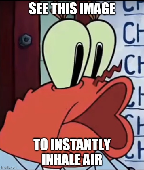 Mr. Krabs Pog | SEE THIS IMAGE; TO INSTANTLY INHALE AIR | image tagged in mr krabs pog | made w/ Imgflip meme maker