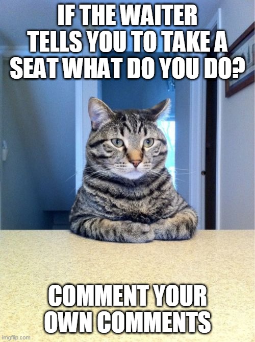 Take A Seat Cat | IF THE WAITER TELLS YOU TO TAKE A SEAT WHAT DO YOU DO? COMMENT YOUR OWN COMMENTS | image tagged in memes,take a seat cat | made w/ Imgflip meme maker