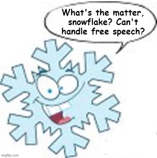 What’s the matter snowflake can’t handle free speech | image tagged in what s the matter snowflake can t handle free speech,free speech,freedom of speech,freedom of the press,conservative hypocrisy | made w/ Imgflip meme maker