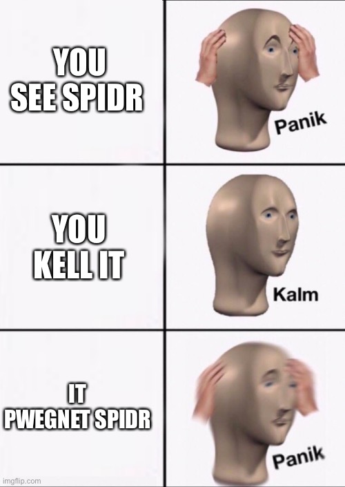 Stonks Panic Calm Panic | YOU SEE SPIDR; YOU KELL IT; IT PWEGNET SPIDR | image tagged in stonks panic calm panic | made w/ Imgflip meme maker