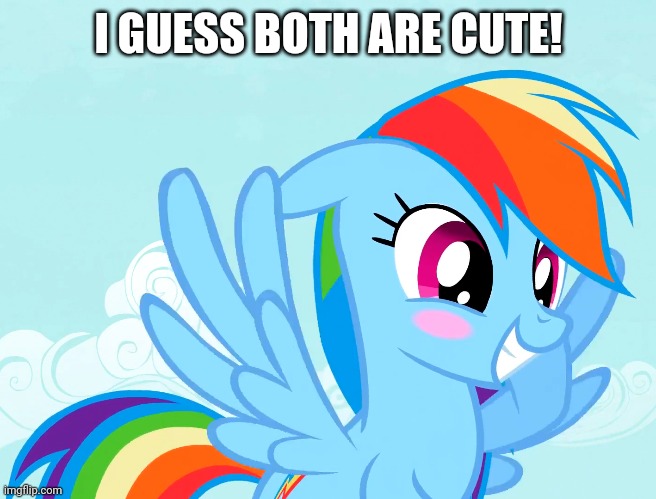 Amusy Blushed Rainbow Dash (MLP) | I GUESS BOTH ARE CUTE! | image tagged in amusy blushed rainbow dash mlp | made w/ Imgflip meme maker