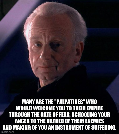 The Emperor welcomes you | MANY ARE THE "PALPATINES" WHO WOULD WELCOME YOU TO THEIR EMPIRE THROUGH THE GATE OF FEAR, SCHOOLING YOUR ANGER TO THE HATRED OF THEIR ENEMIES AND MAKING OF YOU AN INSTRUMENT OF SUFFERING. | image tagged in palpatine,darkside,fear,anger,hatred,suffering | made w/ Imgflip meme maker