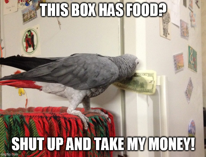 Hungry Parrot | THIS BOX HAS FOOD? SHUT UP AND TAKE MY MONEY! | image tagged in parrot,shut up and take my money fry,money,food,fridge | made w/ Imgflip meme maker