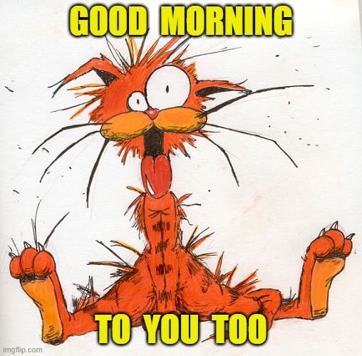 Bill the Cat |  GOOD  MORNING; TO  YOU  TOO | image tagged in bill the cat | made w/ Imgflip meme maker