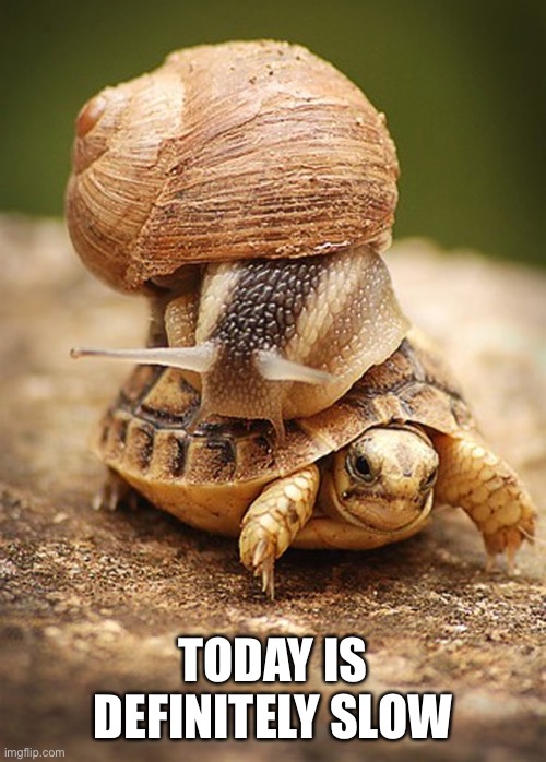 Slow Day | TODAY IS DEFINITELY SLOW | image tagged in slow day | made w/ Imgflip meme maker