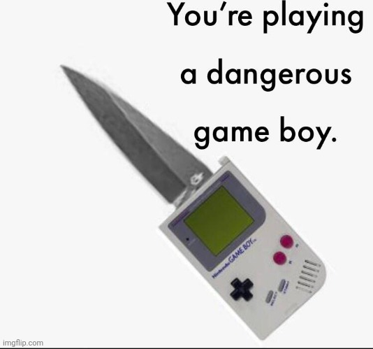 You're Playing A Dangerous Game Boy | image tagged in you're playing a dangerous game boy,nintendo | made w/ Imgflip meme maker