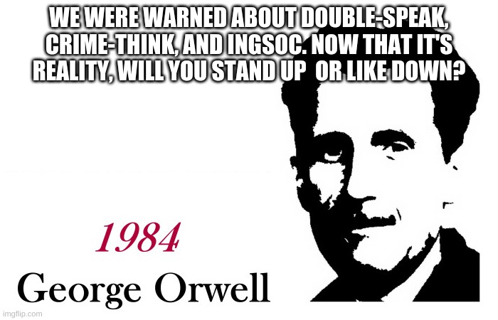 George Orwell 1984 blank | WE WERE WARNED ABOUT DOUBLE-SPEAK, CRIME-THINK, AND INGSOC. NOW THAT IT'S REALITY, WILL YOU STAND UP  OR LIKE DOWN? | image tagged in george orwell 1984 blank | made w/ Imgflip meme maker