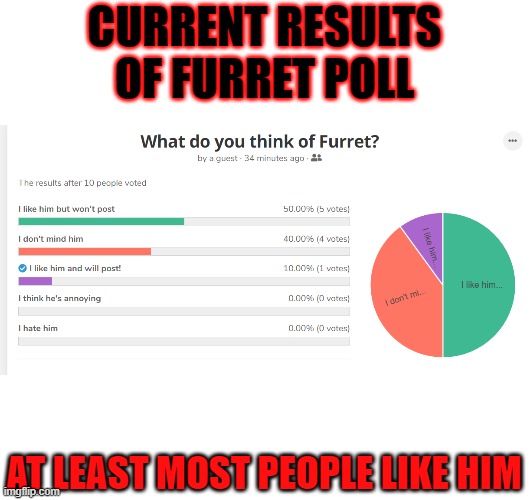 If you haven't voted yet: https://strawpoll.com/yragfrr8p | CURRENT RESULTS OF FURRET POLL; AT LEAST MOST PEOPLE LIKE HIM | made w/ Imgflip meme maker