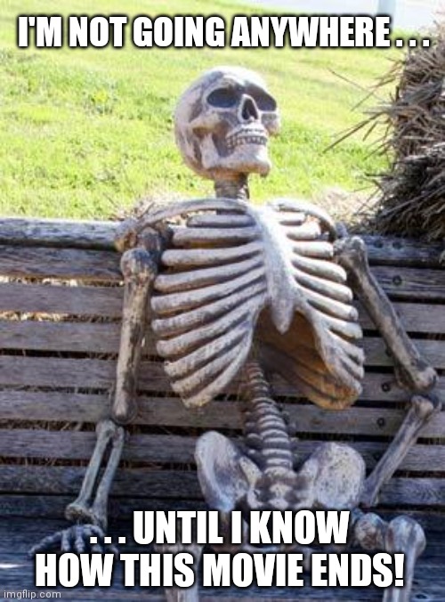 Waiting Skeleton | I'M NOT GOING ANYWHERE . . . . . . UNTIL I KNOW HOW THIS MOVIE ENDS! | image tagged in memes,waiting skeleton | made w/ Imgflip meme maker