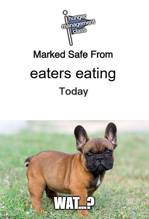 hunger management class; eaters eating; WAT...? | image tagged in memes,marked safe from | made w/ Imgflip meme maker