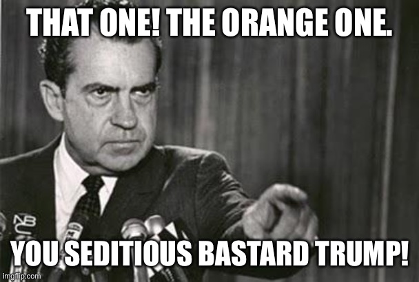 Richard Nixon | THAT ONE! THE ORANGE ONE. YOU SEDITIOUS BASTARD TRUMP! | image tagged in richard nixon | made w/ Imgflip meme maker
