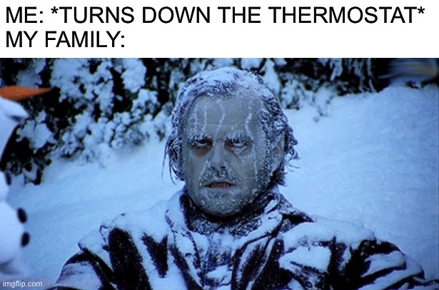 Freezing cold | ME: *TURNS DOWN THE THERMOSTAT*
MY FAMILY: | image tagged in freezing cold | made w/ Imgflip meme maker