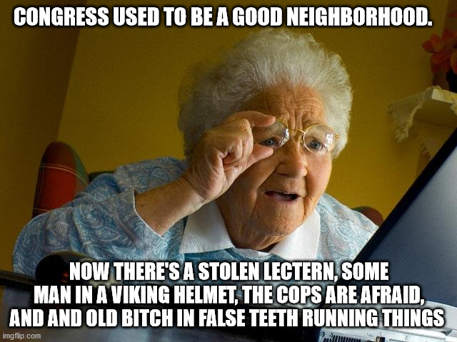 Grandma Finds The Internet Meme | CONGRESS USED TO BE A GOOD NEIGHBORHOOD. NOW THERE'S A STOLEN LECTERN, SOME MAN IN A VIKING HELMET, THE COPS ARE AFRAID, AND AND OLD BITCH IN FALSE TEETH RUNNING THINGS | image tagged in memes,grandma finds the internet | made w/ Imgflip meme maker