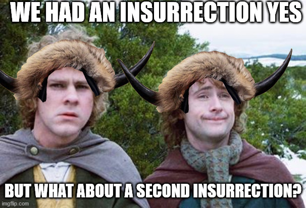 Second Breakfast | WE HAD AN INSURRECTION YES; BUT WHAT ABOUT A SECOND INSURRECTION? | image tagged in second breakfast | made w/ Imgflip meme maker