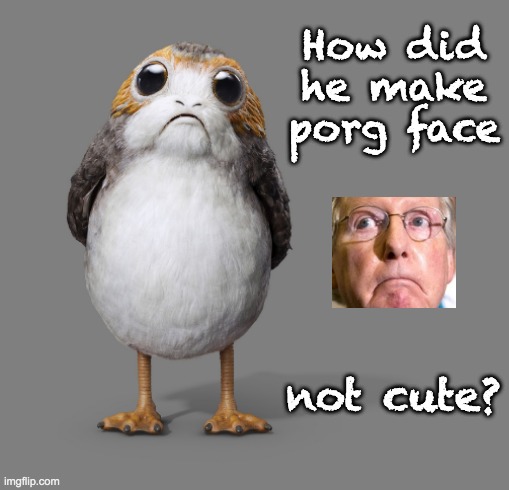 The porgs want to know | How did he make porg face; not cute? | image tagged in inquiring porg wants to know,politics,mitch mcconnell,starwars | made w/ Imgflip meme maker