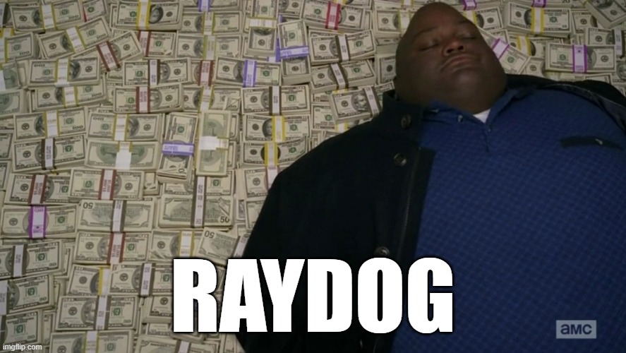 guy sleeping on pile of money | RAYDOG | image tagged in guy sleeping on pile of money | made w/ Imgflip meme maker