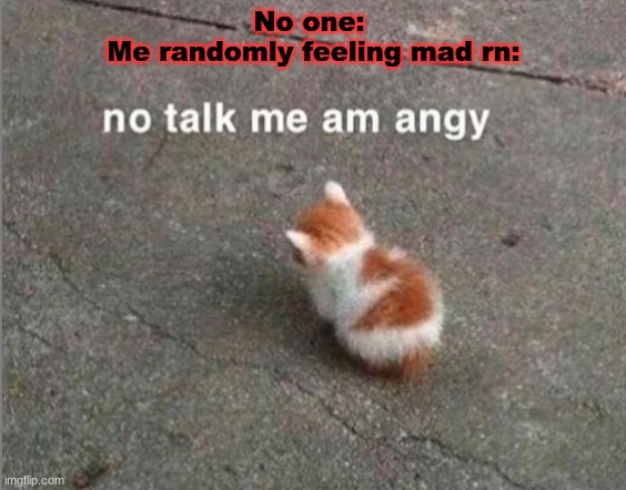 no talk me am angy | No one: 
Me randomly feeling mad rn: | image tagged in no talk me am angy | made w/ Imgflip meme maker