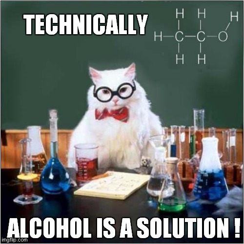 Chemistry Cat Offers A Solution | TECHNICALLY; ALCOHOL IS A SOLUTION ! | image tagged in chemistry cat,memes | made w/ Imgflip meme maker