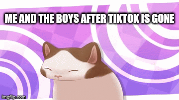 Me and the boys celebrate | ME AND THE BOYS AFTER TIKTOK IS GONE | image tagged in gifs,memes,fun,tiktok sucks,imgflip rules | made w/ Imgflip video-to-gif maker