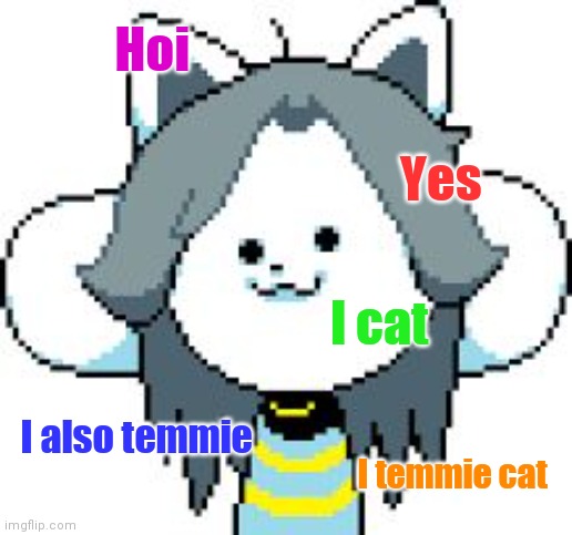Hoi; Yes; I cat; I also temmie; I temmie cat | image tagged in temmie format,cats,cat,undertale | made w/ Imgflip meme maker
