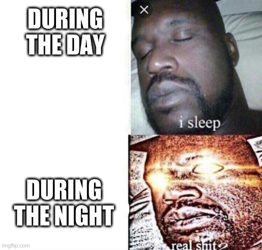 Sadly, my sleep schedule | DURING THE DAY; DURING THE NIGHT | image tagged in i sleep real shit | made w/ Imgflip meme maker