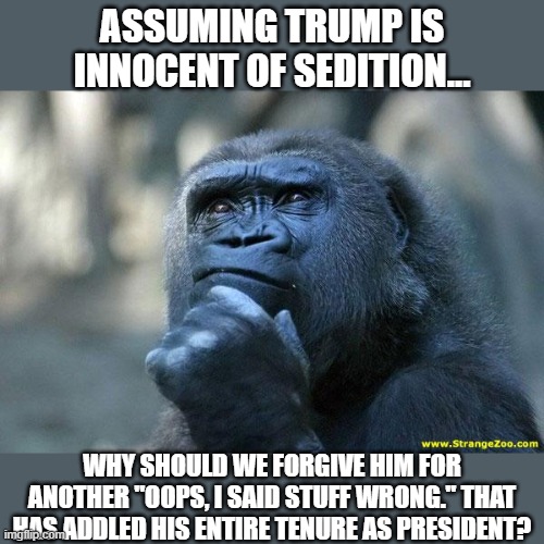 Deep thoughts | ASSUMING TRUMP IS INNOCENT OF SEDITION... WHY SHOULD WE FORGIVE HIM FOR ANOTHER "OOPS, I SAID STUFF WRONG." THAT HAS ADDLED HIS ENTIRE TENURE AS PRESIDENT? | image tagged in deep thoughts,trump,sedition,capitol hill,riot,maga | made w/ Imgflip meme maker