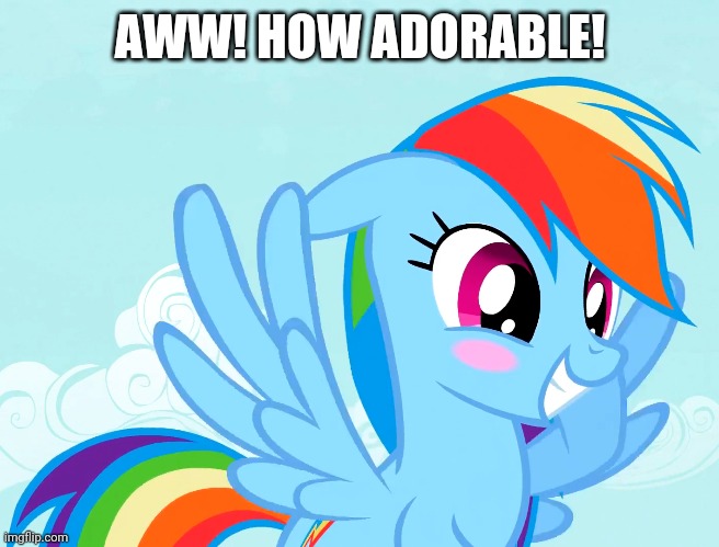 Amusy Blushed Rainbow Dash (MLP) | AWW! HOW ADORABLE! | image tagged in amusy blushed rainbow dash mlp | made w/ Imgflip meme maker