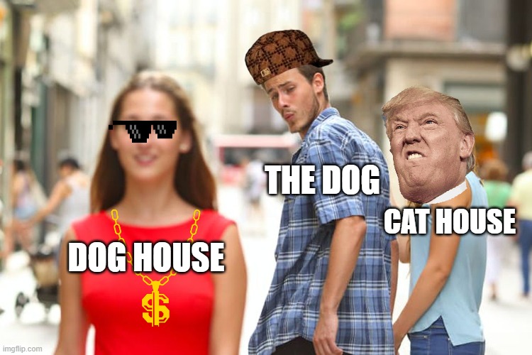 dog | THE DOG; CAT HOUSE; DOG HOUSE | image tagged in memes,distracted boyfriend | made w/ Imgflip meme maker